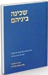 שכינה ביניהם | הרב משה בלייכר