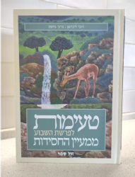 טעימות לפרשת השבוע ממעיין החסידות | דובי ליברמן, ברוך נחשון